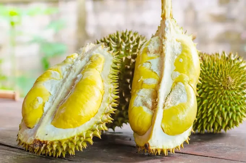 Free Durian Survey 2